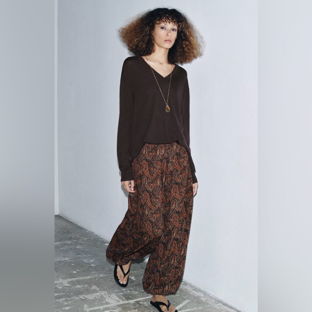 Zara Woman Collection Paisley Bloomer Pants in Multi-Colored